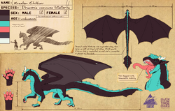 reference sheet